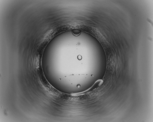 X0000098020694200803281334