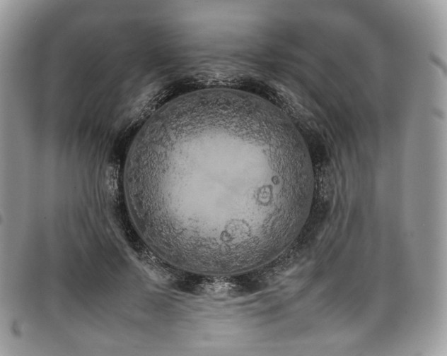 X0000098020695200803281334