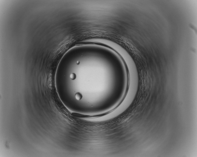 X0000098020696200803281334