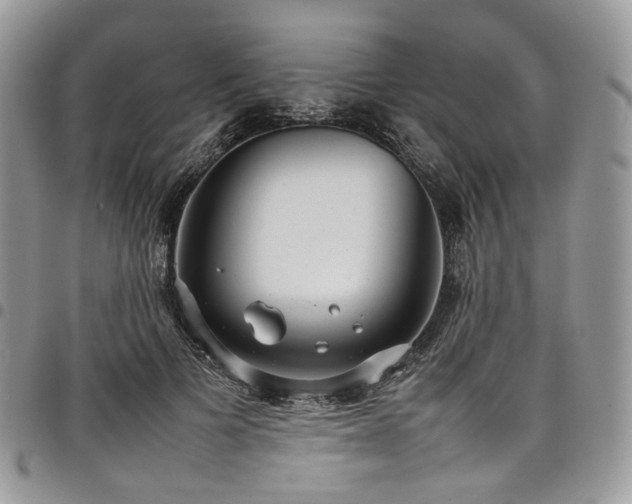 X0000098020697200803281334