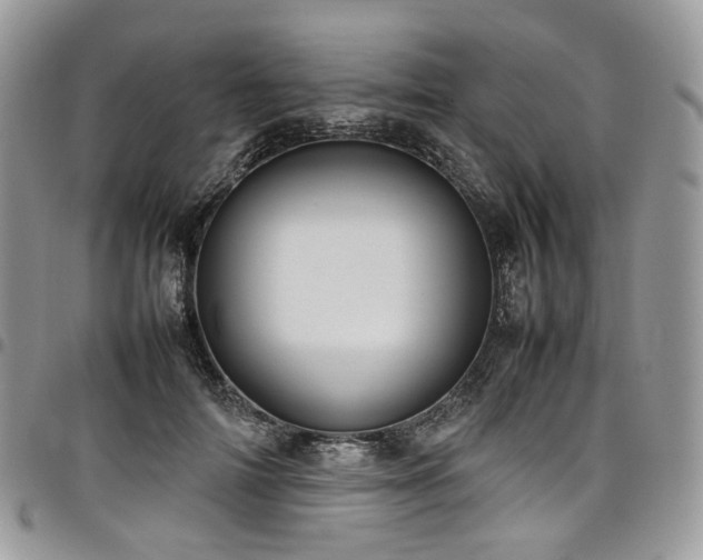 X0000098020698200803281334