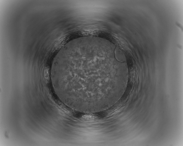 X0000098020699200803281334