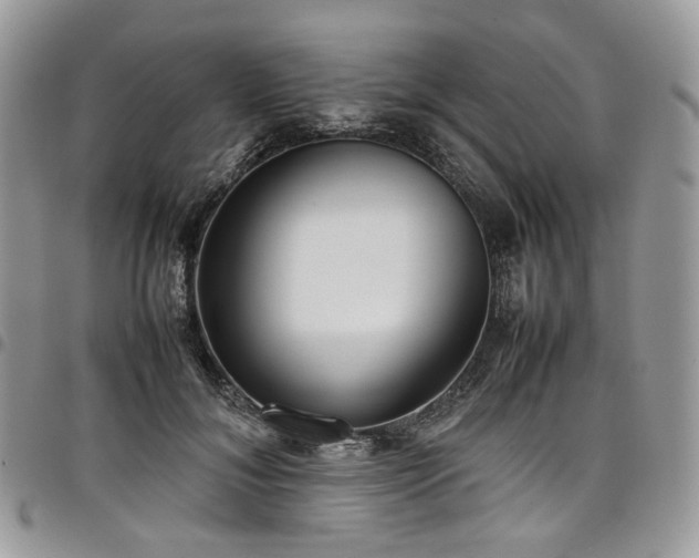 X0000098020700200803281334