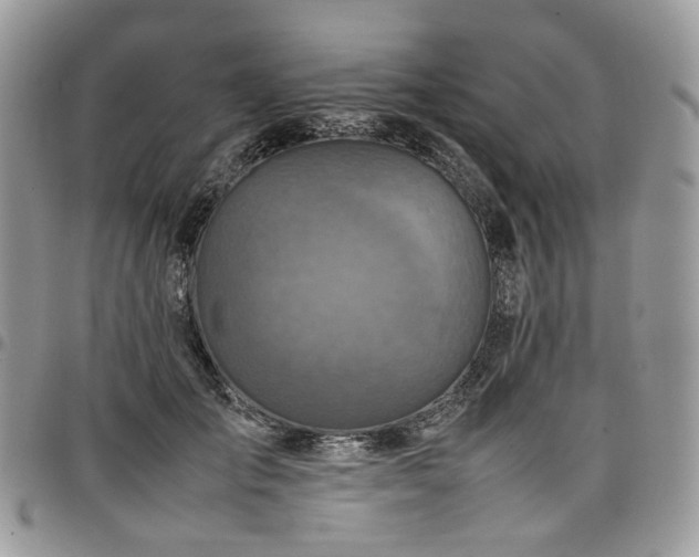 X0000098020701200803281334