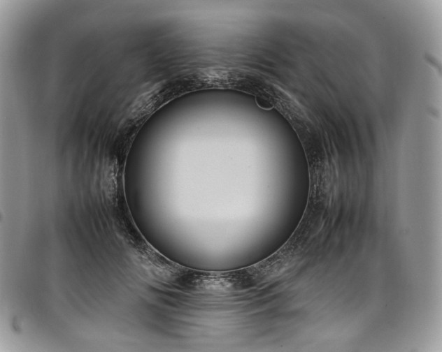 X0000098020702200803281334