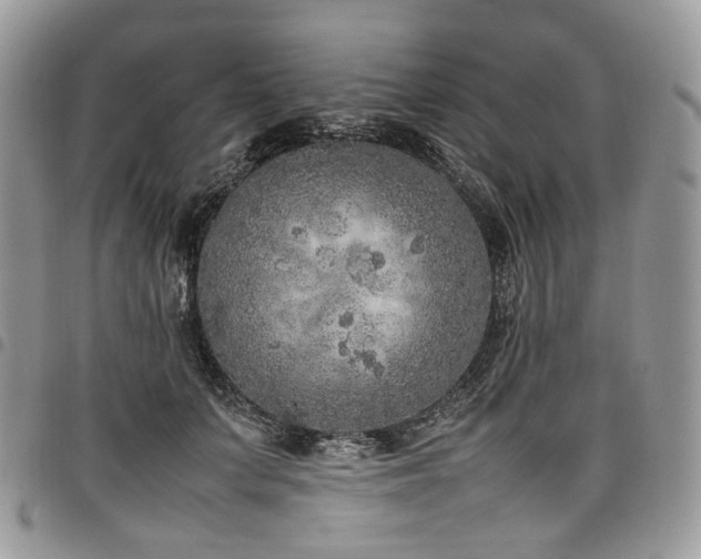 X0000098020703200803281334