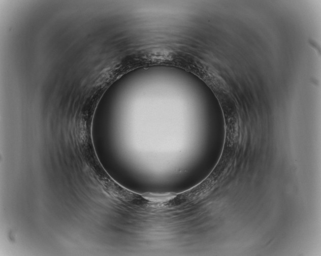 X0000098020704200803281334