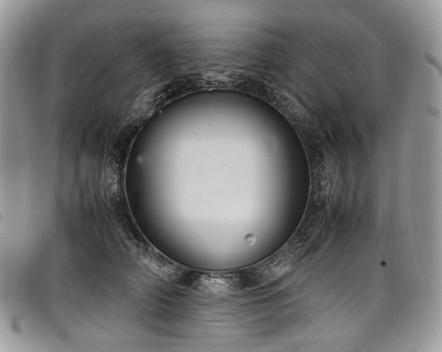 X0000098020706200803281334