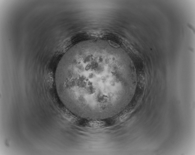 X0000098020707200803281334