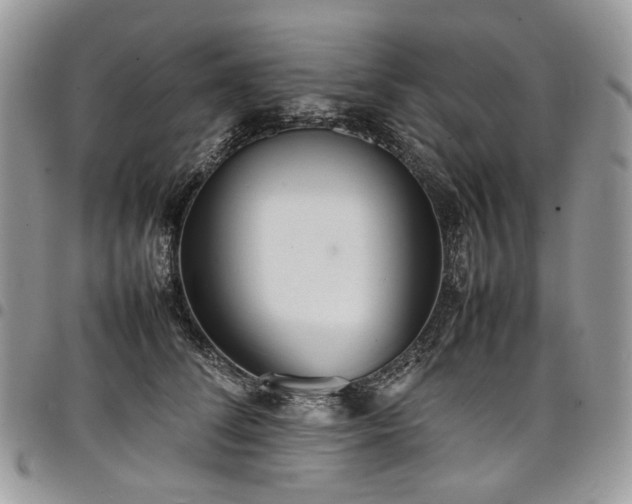 X0000098020708200803281334