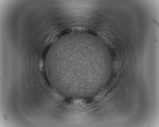 X0000098020709200803281334