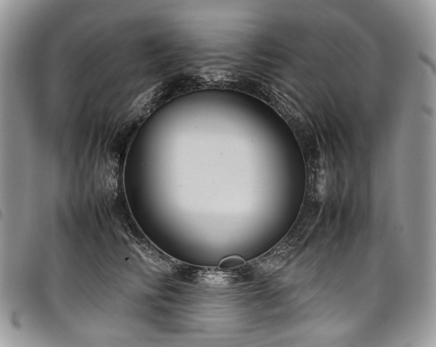 X0000098020710200803281334