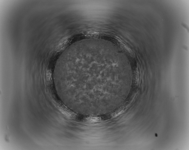 X0000098020711200803281334