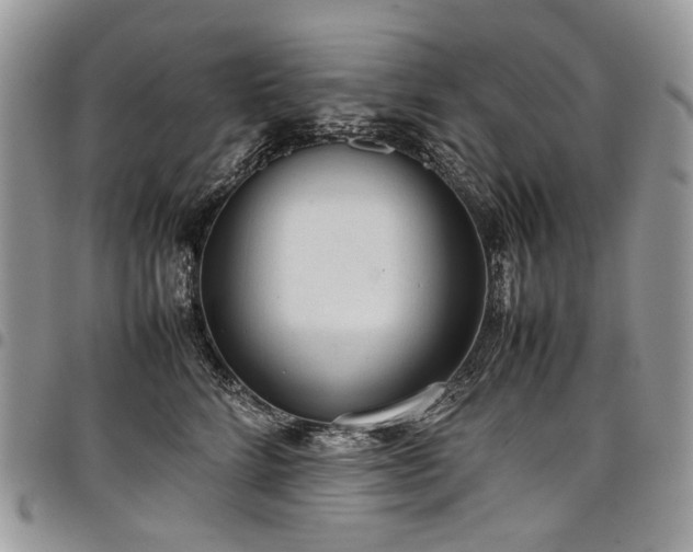 X0000098020712200803281334