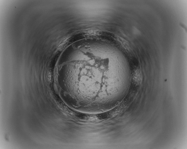 X0000098020715200803281334