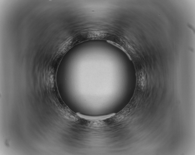 X0000098020716200803281334