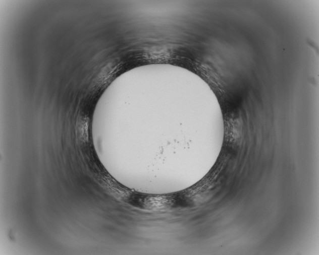 X0000098020717200803281334