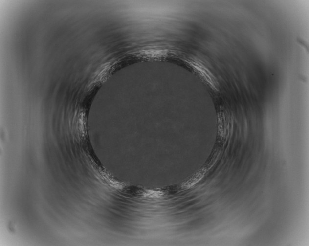 X0000098020718200803281334