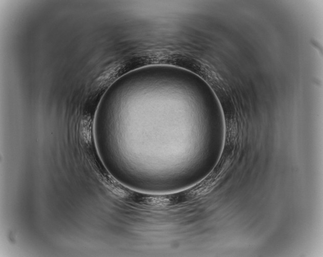 X0000098020719200803281334