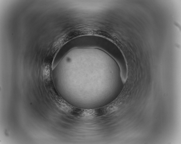 X0000098020720200803281334