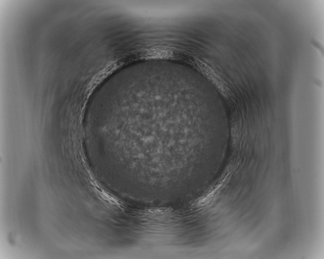 X0000098020721200803281333