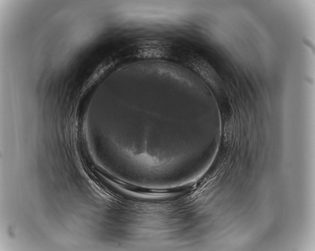 X0000098020722200803281333