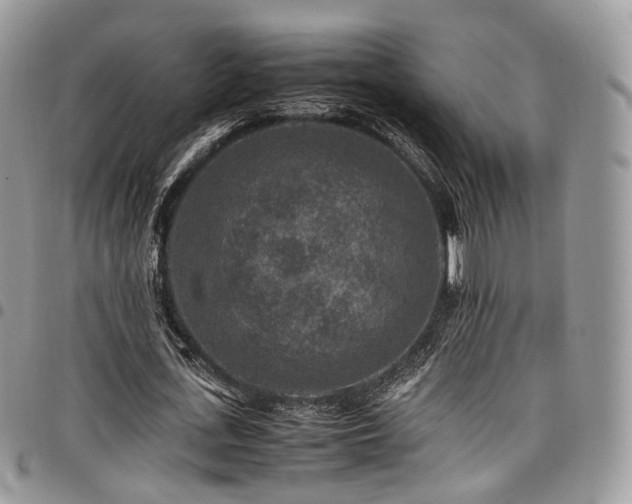 X0000098020723200803281333