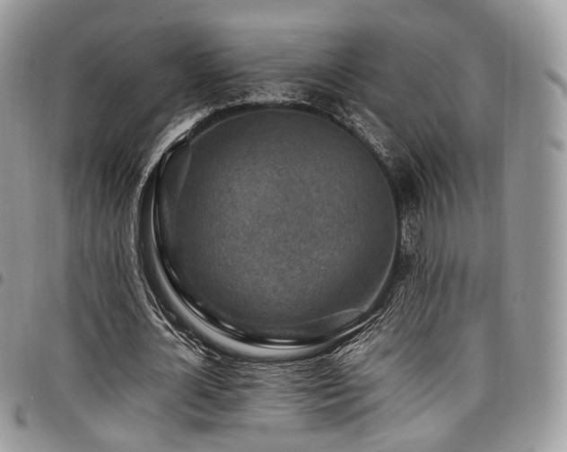 X0000098020724200803281333