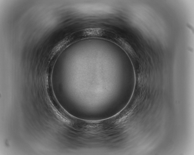 X0000098020725200803281333