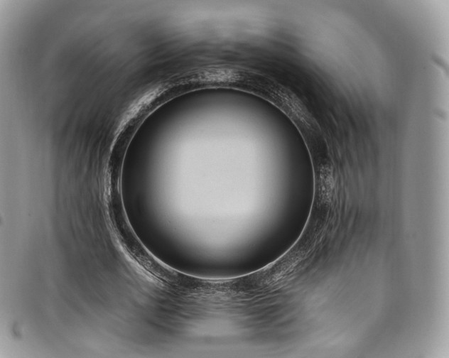 X0000098020726200803281334