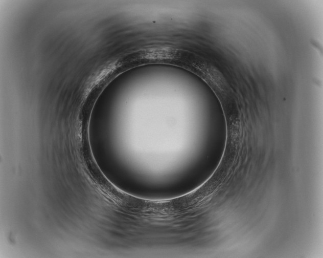 X0000098020727200803281334