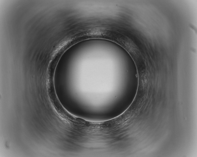 X0000098020728200803281334