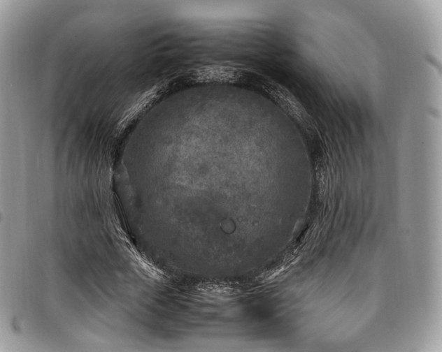 X0000098020729200803281334