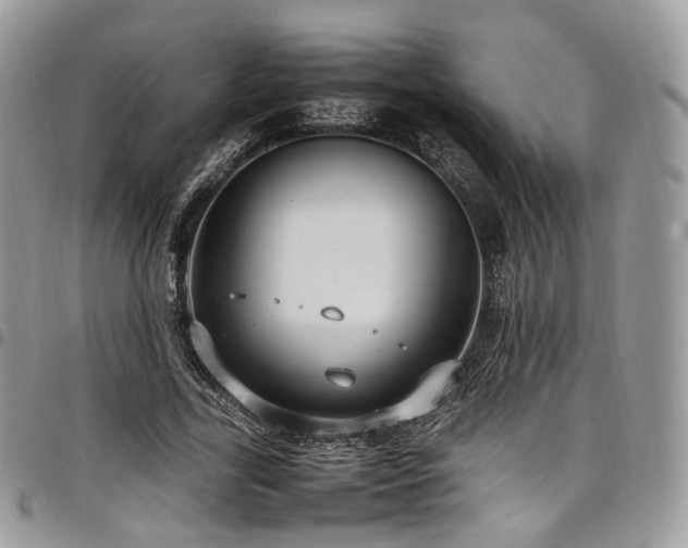 X0000098020731200803281334