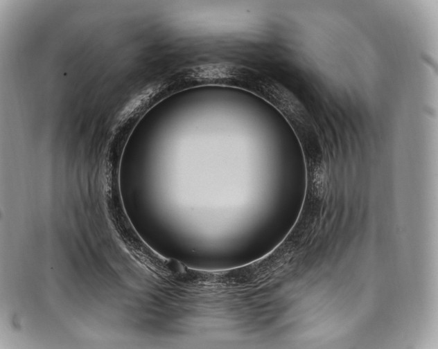 X0000098020732200803281334