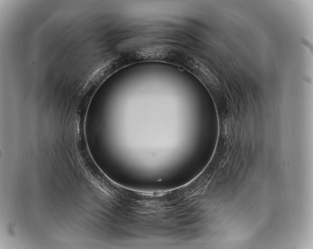 X0000098020733200803281334