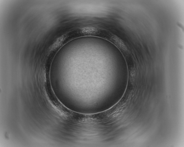 X0000098020734200803281334