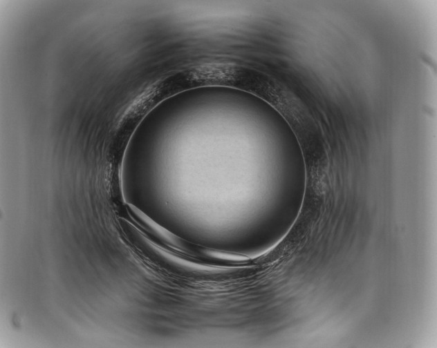 X0000098020735200803281334