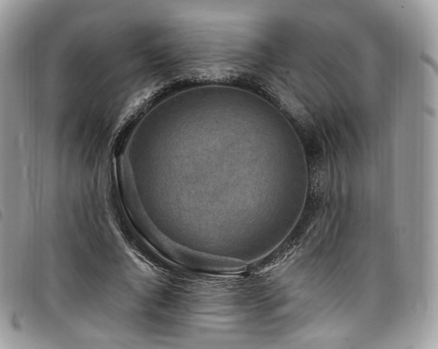 X0000098020736200803281334