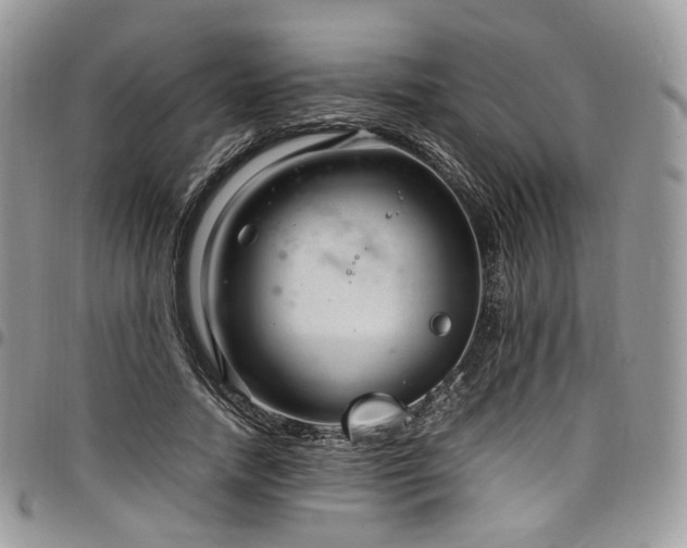 X0000098020738200803281334