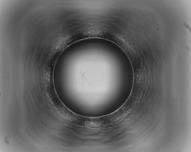 X0000098020739200803281334