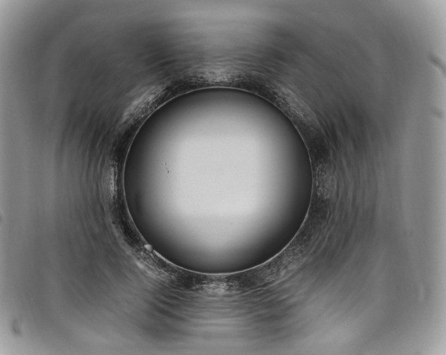 X0000098020740200803281334