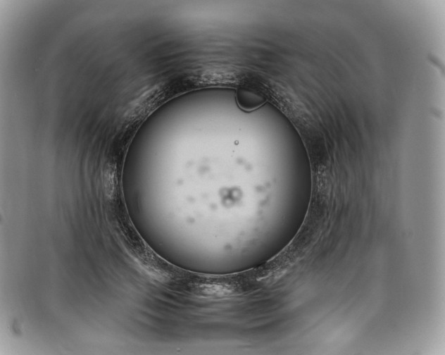 X0000098020741200803281334