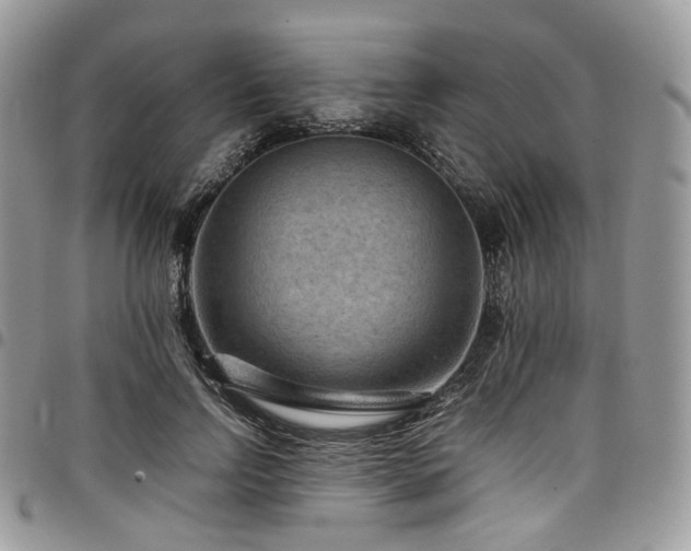 X0000098020742200803281334