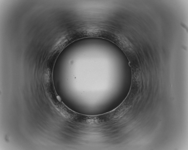 X0000098020744200803281334