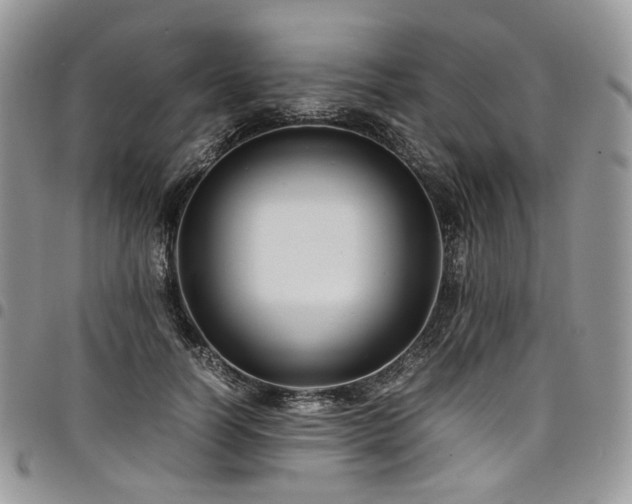 X0000098020746200803281334