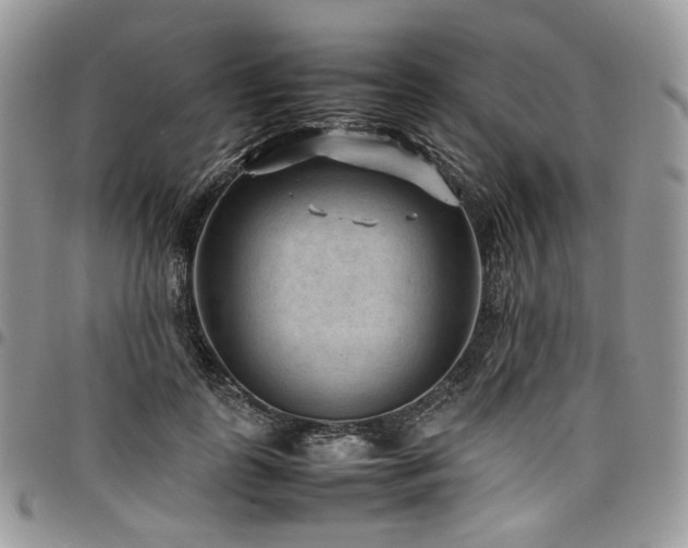 X0000098020747200803281334