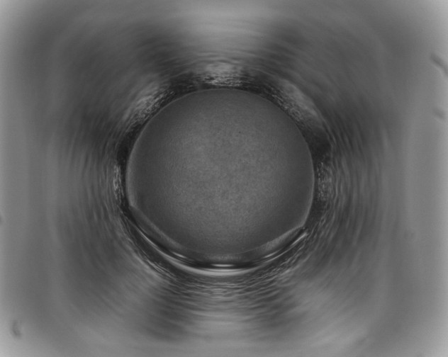 X0000098020748200803281334