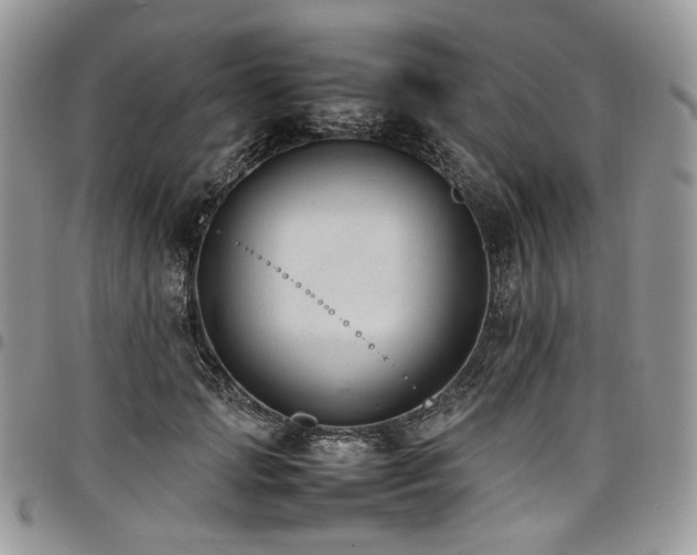 X0000098020749200803281334