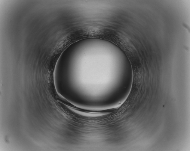 X0000098020750200803281334